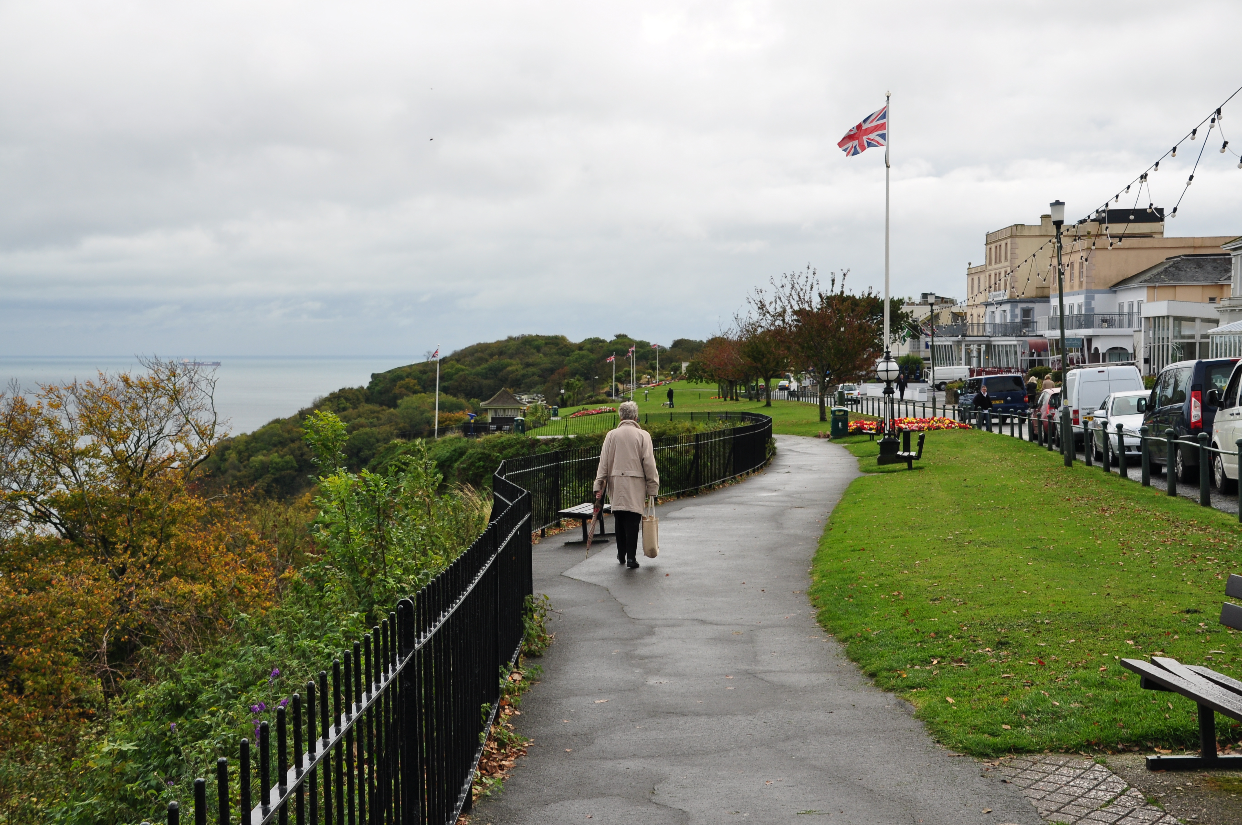 Babbacombe Downs (6931)