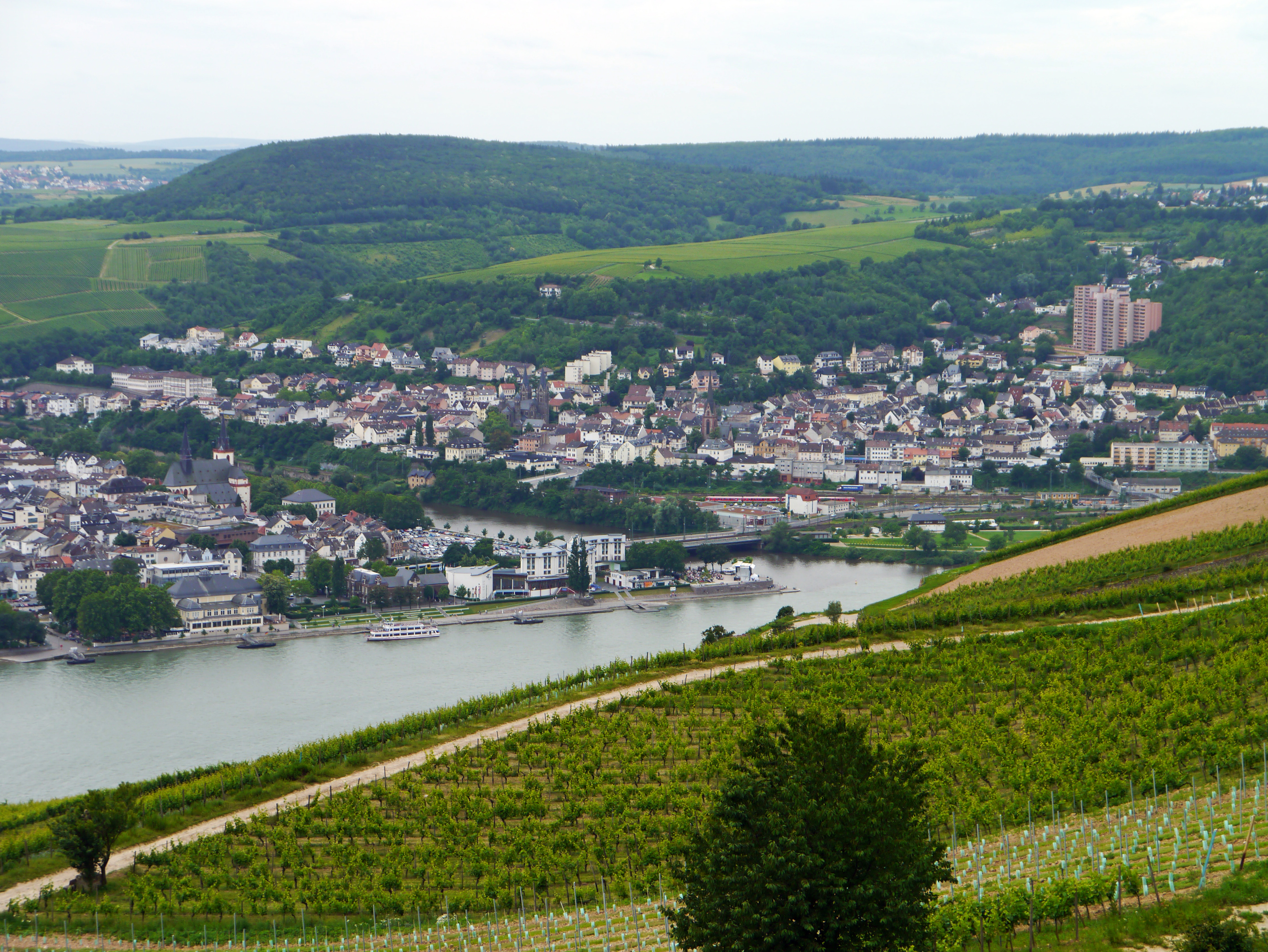 Bingen-Nahe-Muendung-2012-06-685