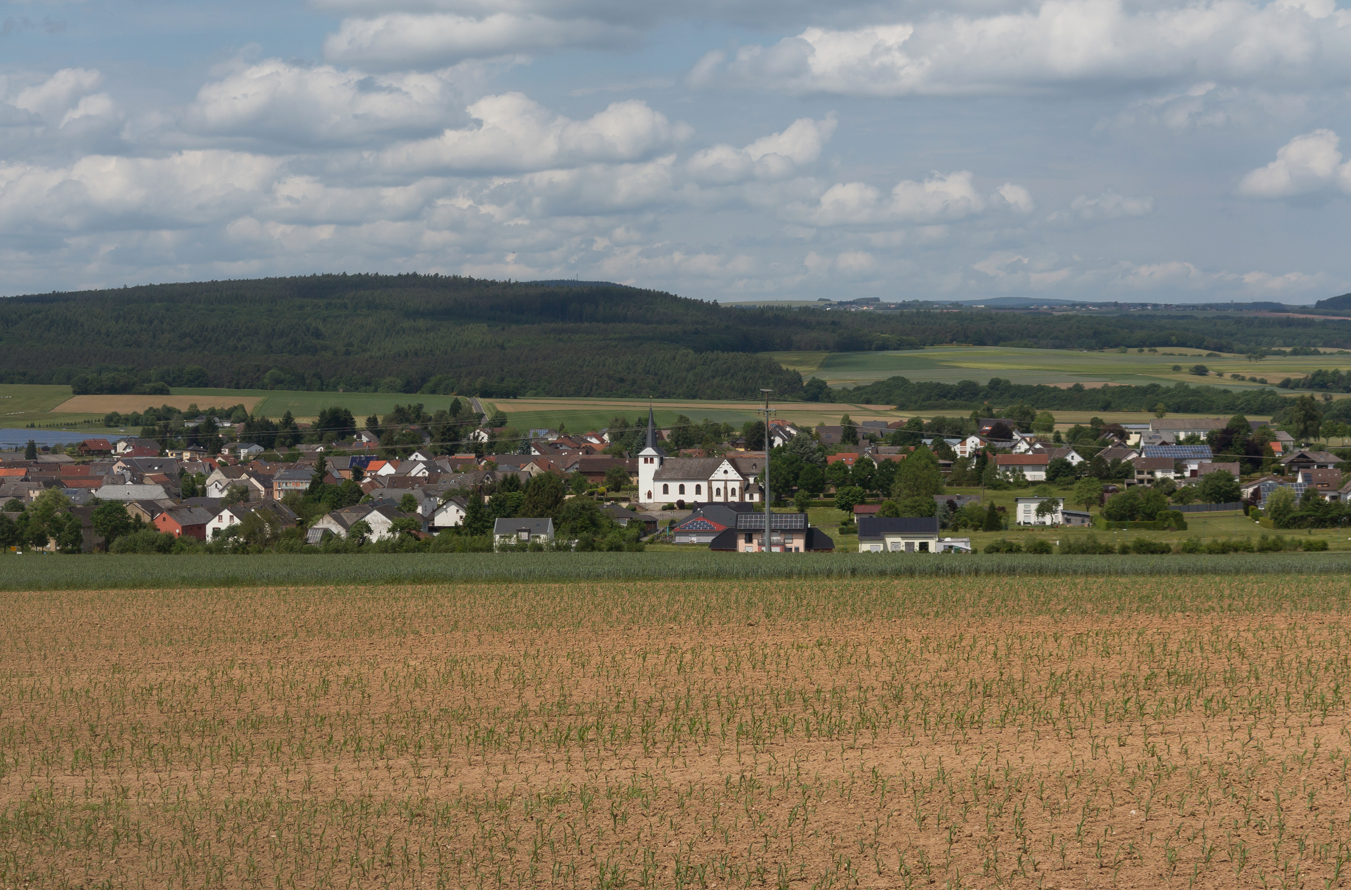 Grosslittgen, dorpszicht foto11 2017-05-30 13.45