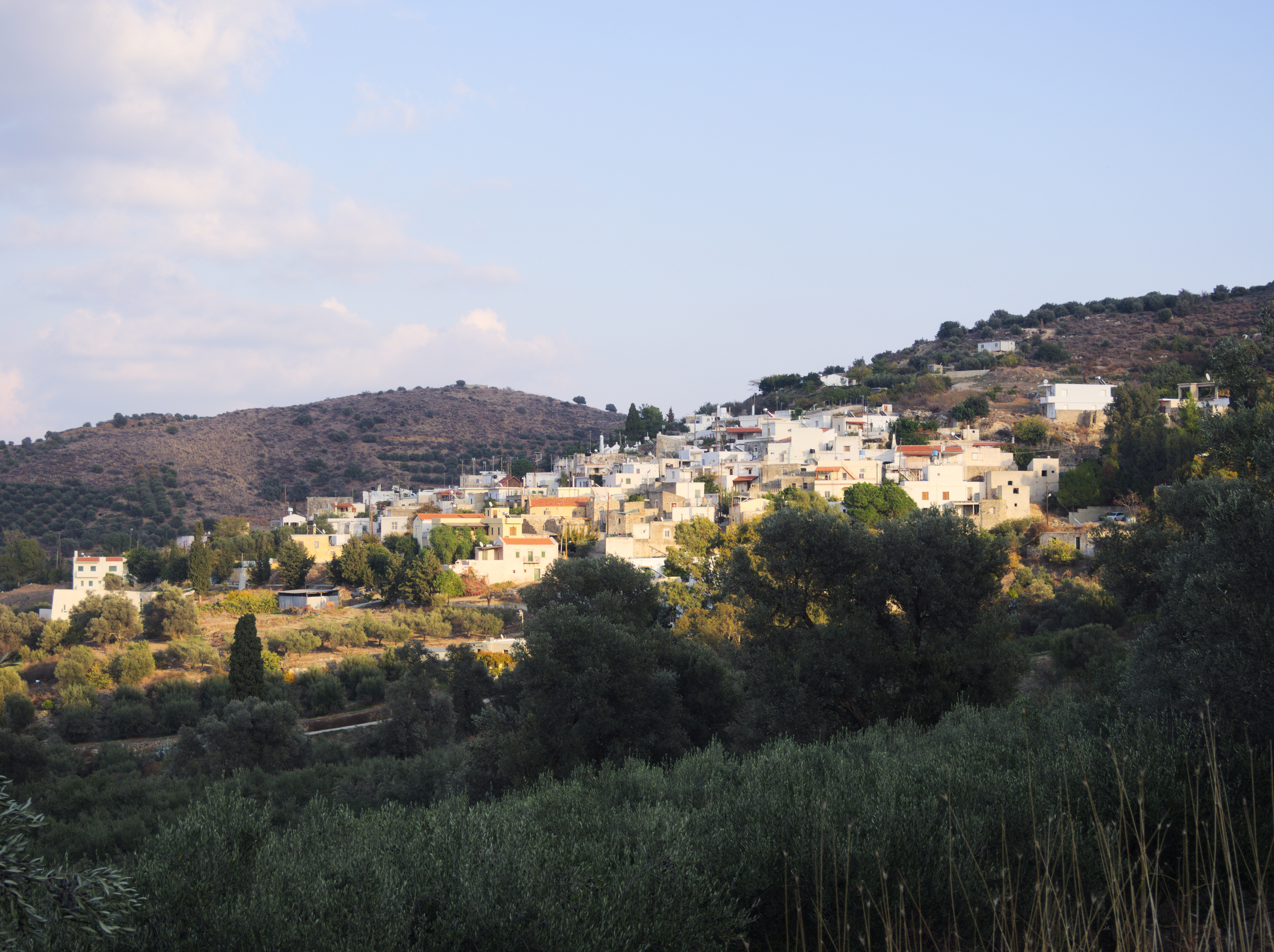 Κουσές 2452