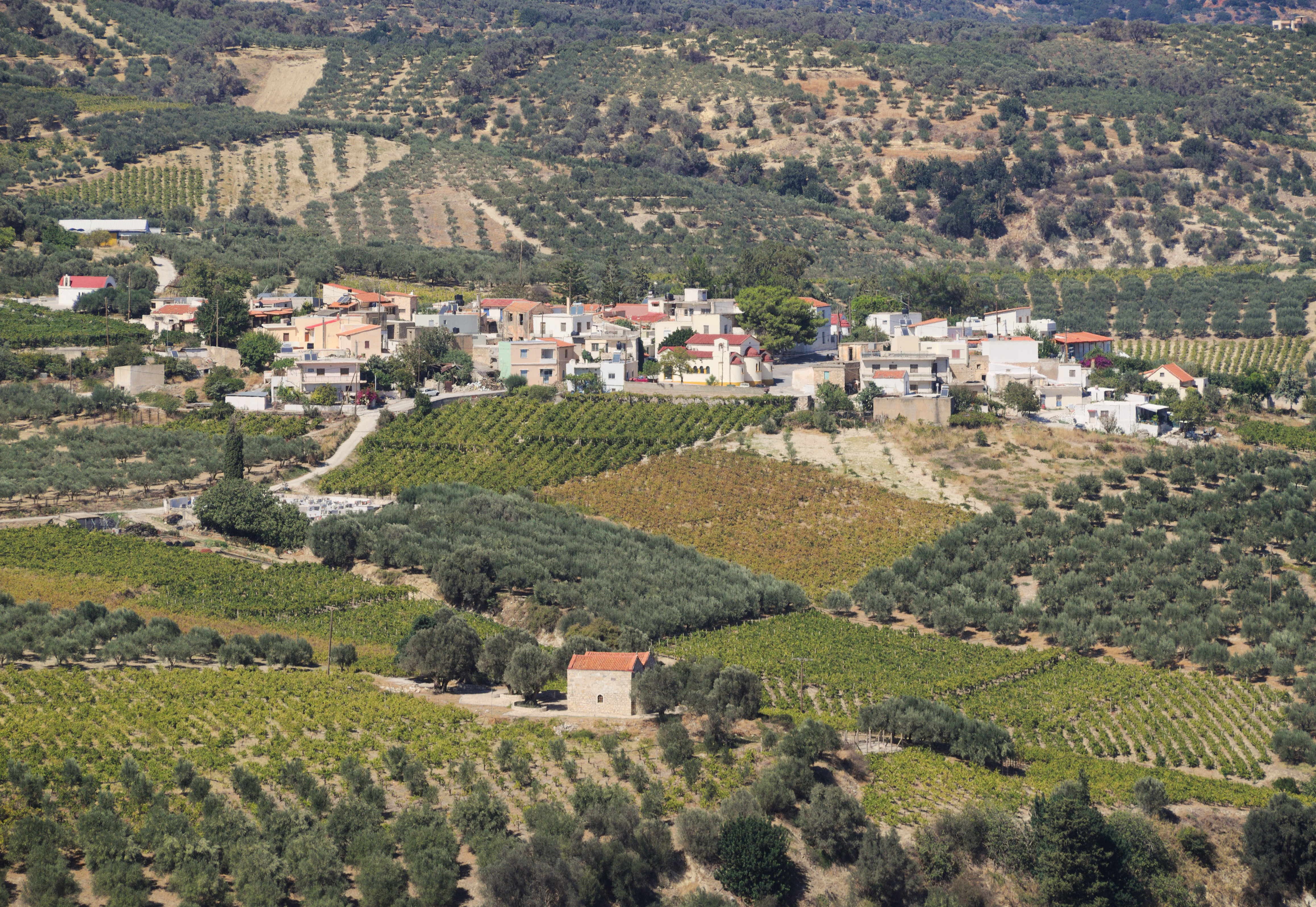 Καμάρι Μαλεβιζίου 4481