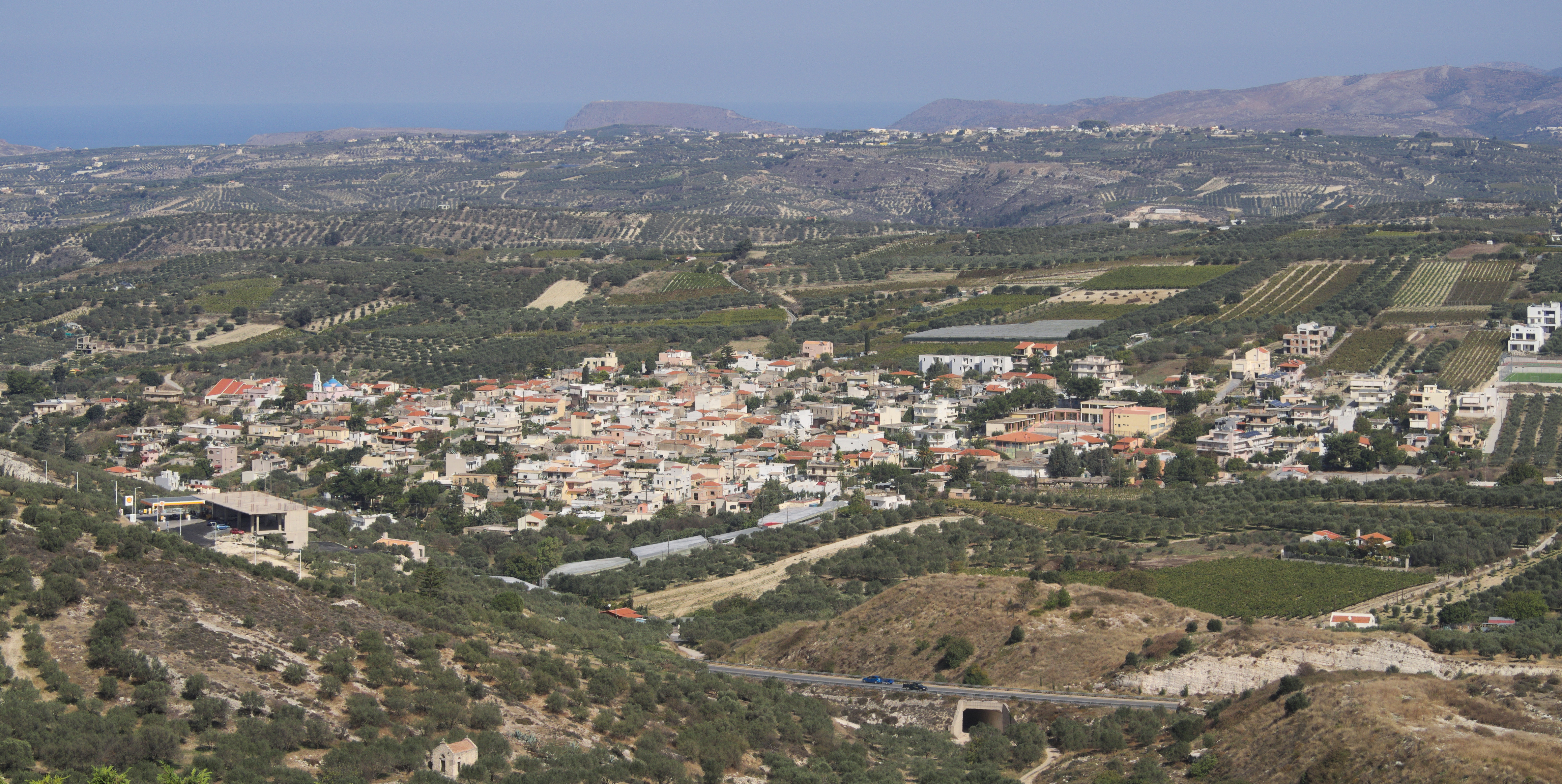 Κουναβοί 4629