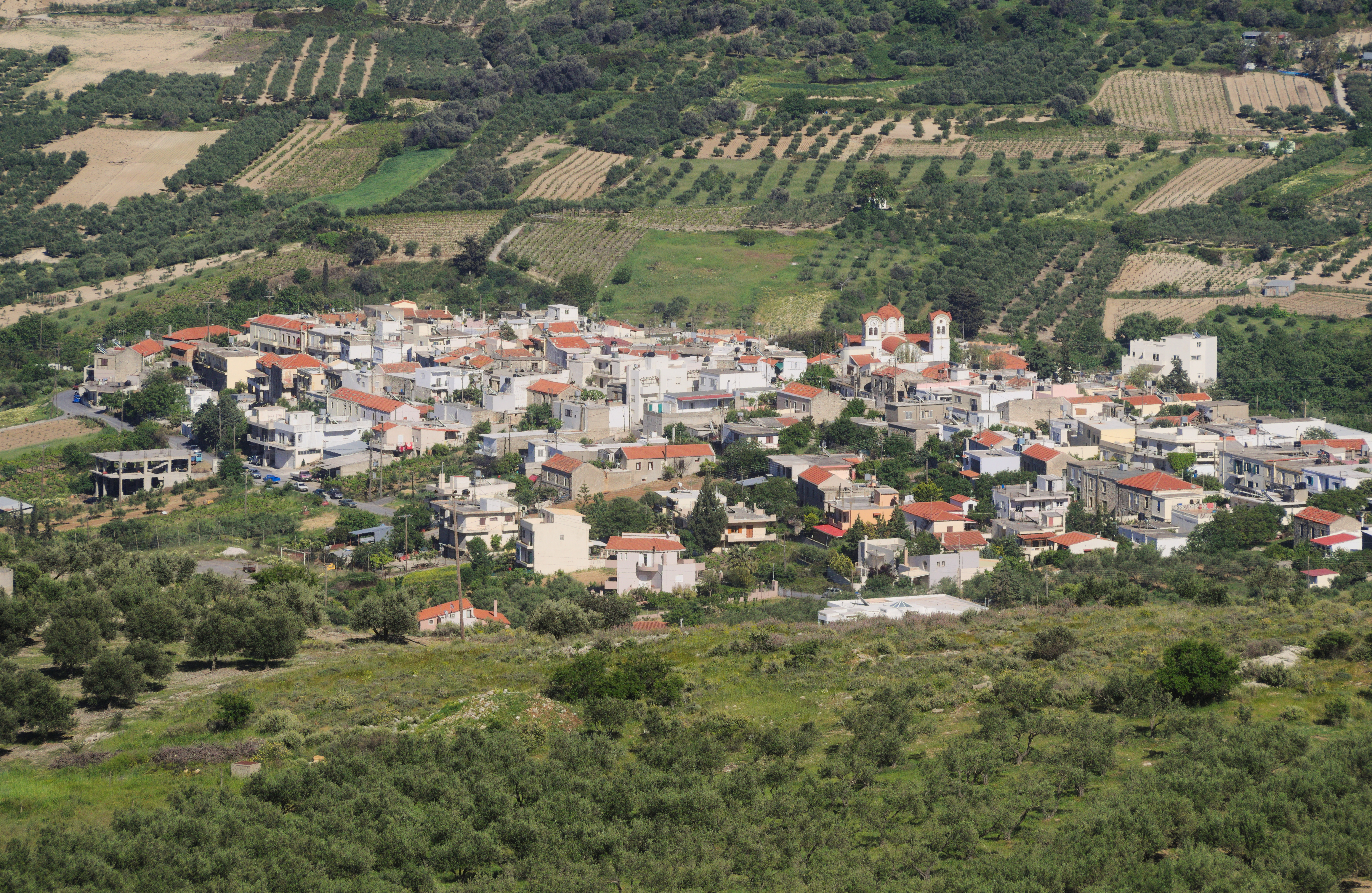 Αυγενική 9515