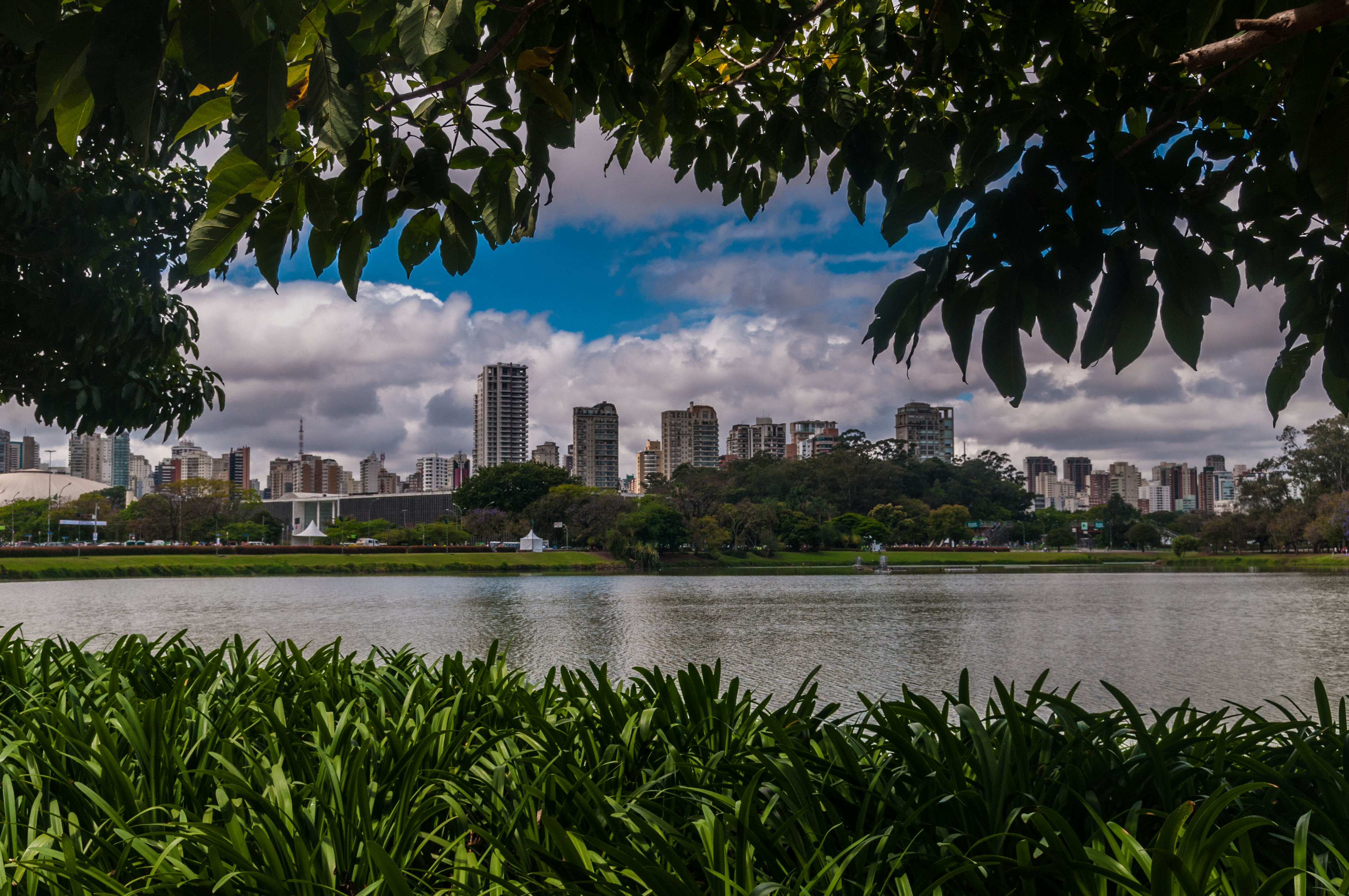Ibirapuera Park in São Paulo 2