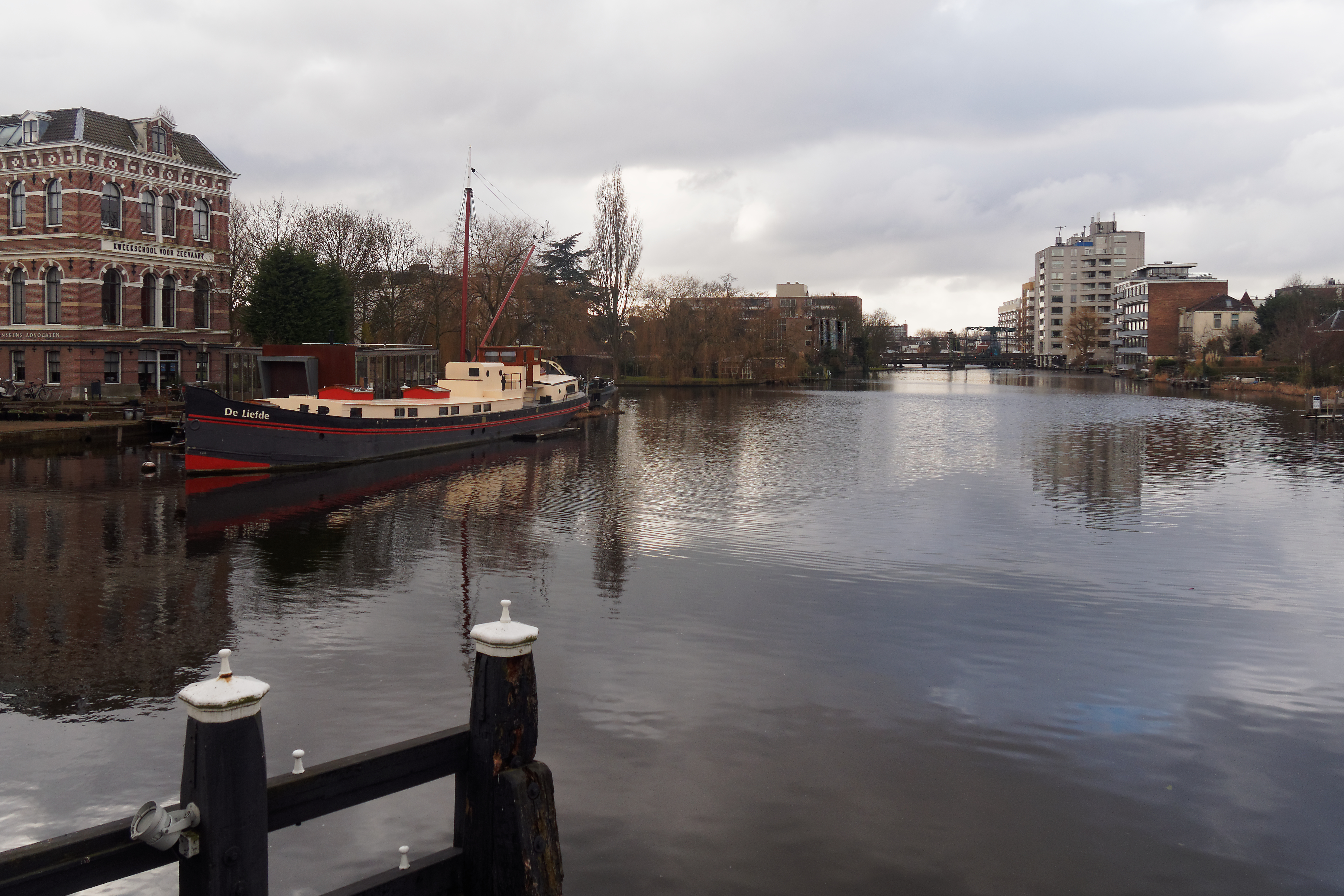 Leiden 7036