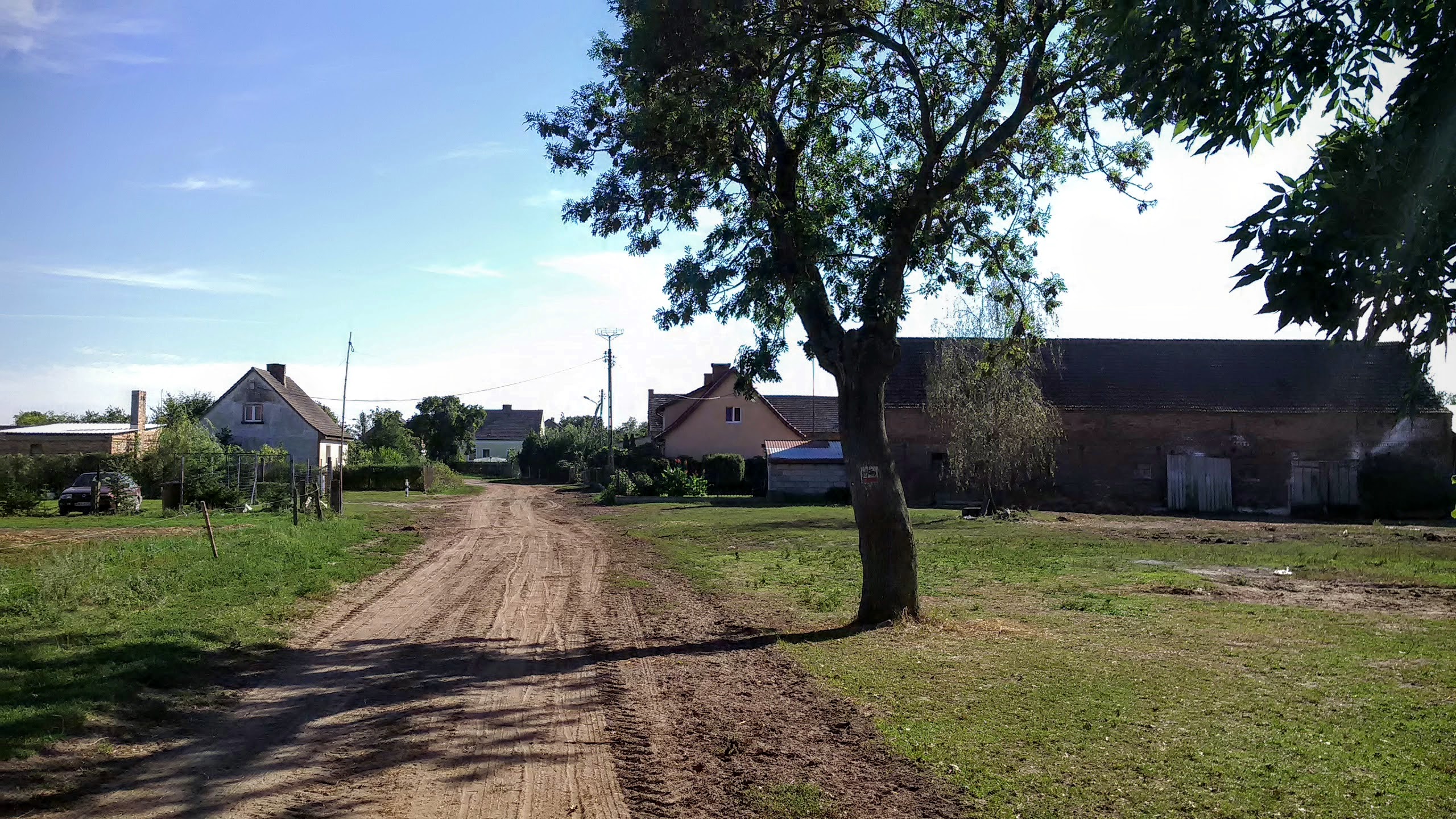 Osetnica (Gościnowo, lubuskie) 01
