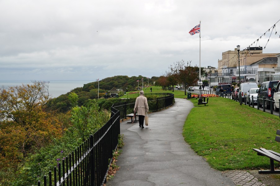 Babbacombe Downs (6931)