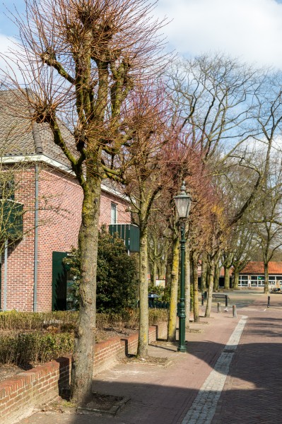 Bredevoort (NL), Markt -- 2018 -- 1845