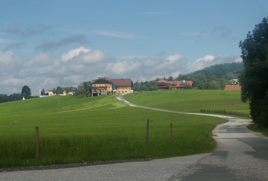Eugendorf, bij de Kraimoosweg foto3 2017-08-13 11.58