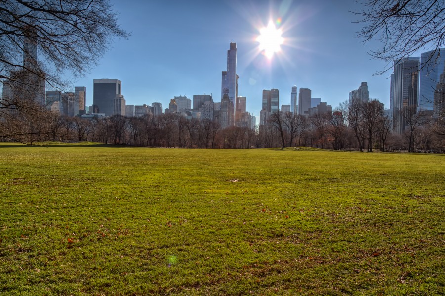 Evening over Central Park (16102421956)