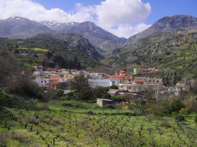 Σάρχος 8645