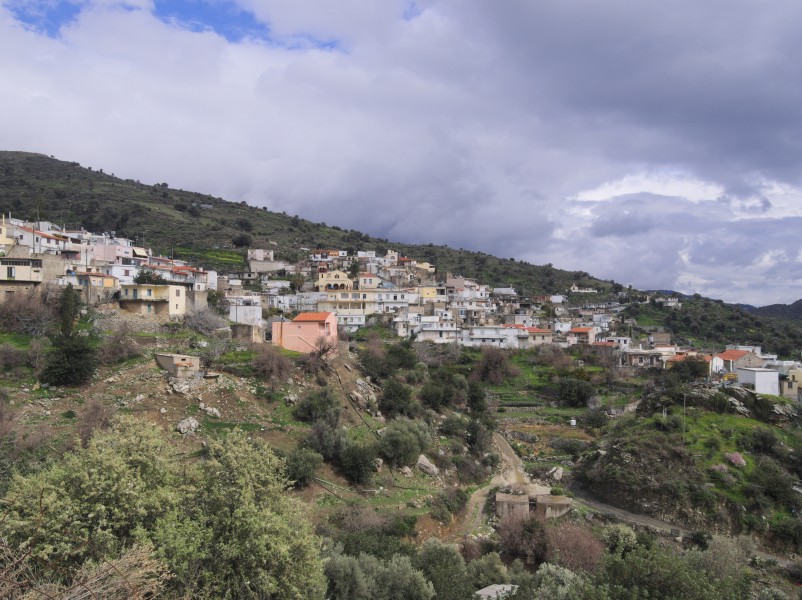 Πλάτανος Αμαρίου 8864