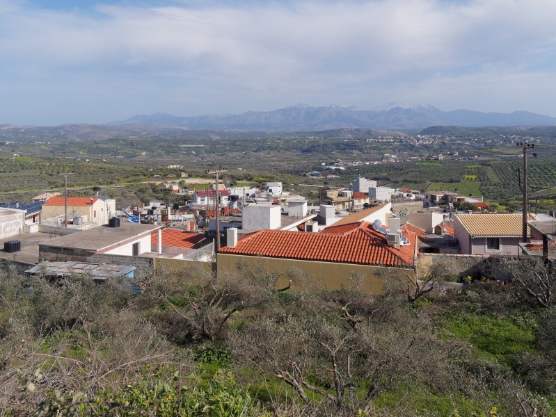 Καταλαγάρι 7943