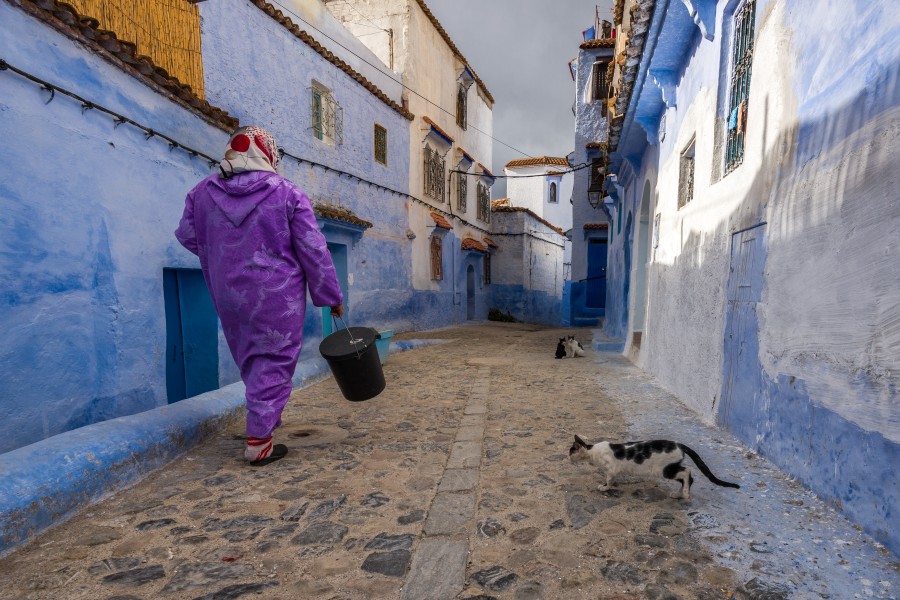 Inhabitants of the blue city 3
