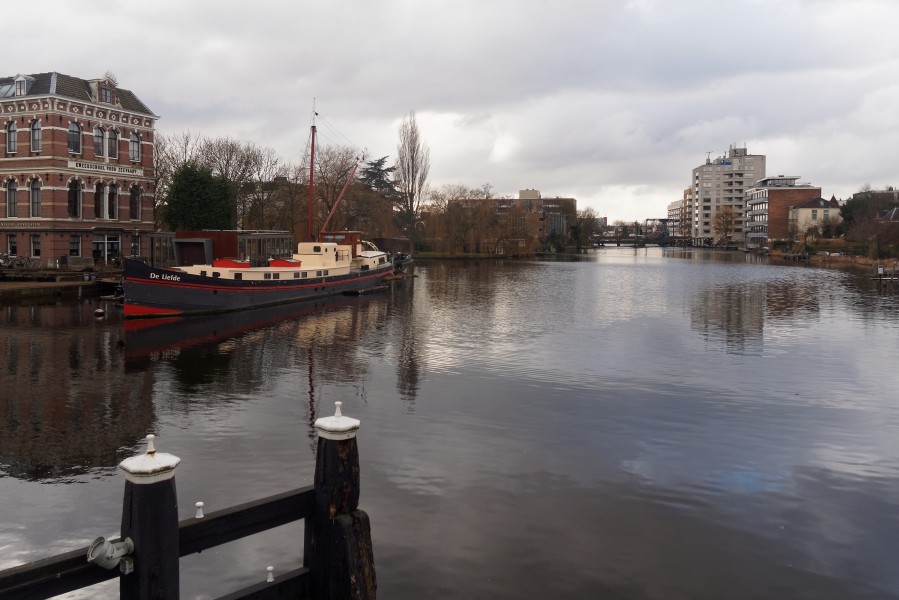 Leiden 7036