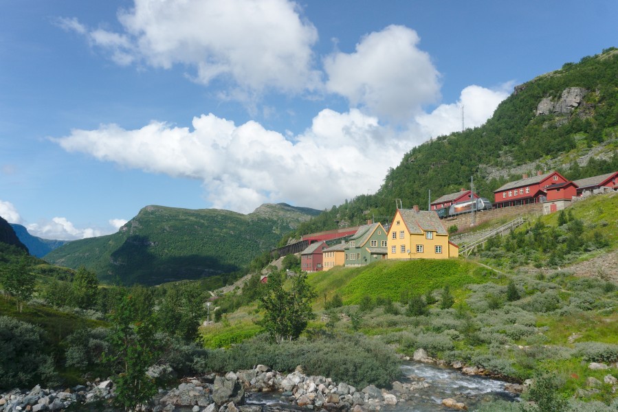 Myrdal-2014 04