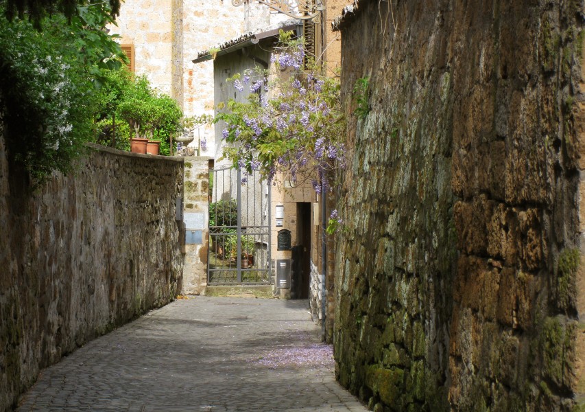 Orvieto wisteria walls cobble street