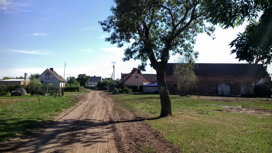 Osetnica (Gościnowo, lubuskie) 01