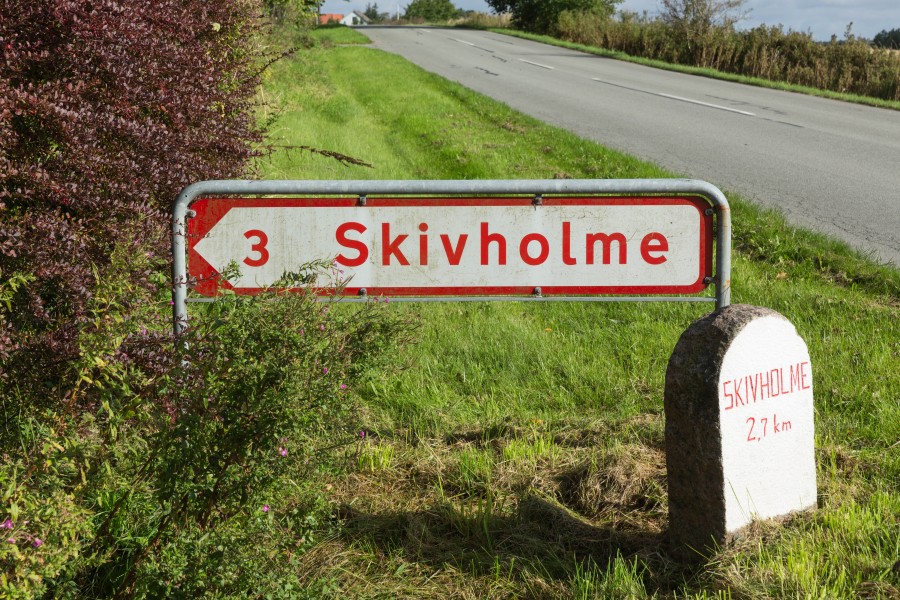 Vejvisersten i Borum