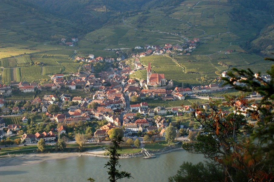 Weißkirchen in der Wachau 10
