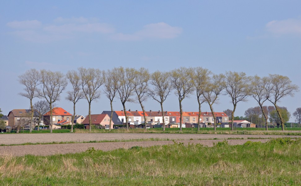 Zwankendamme R01