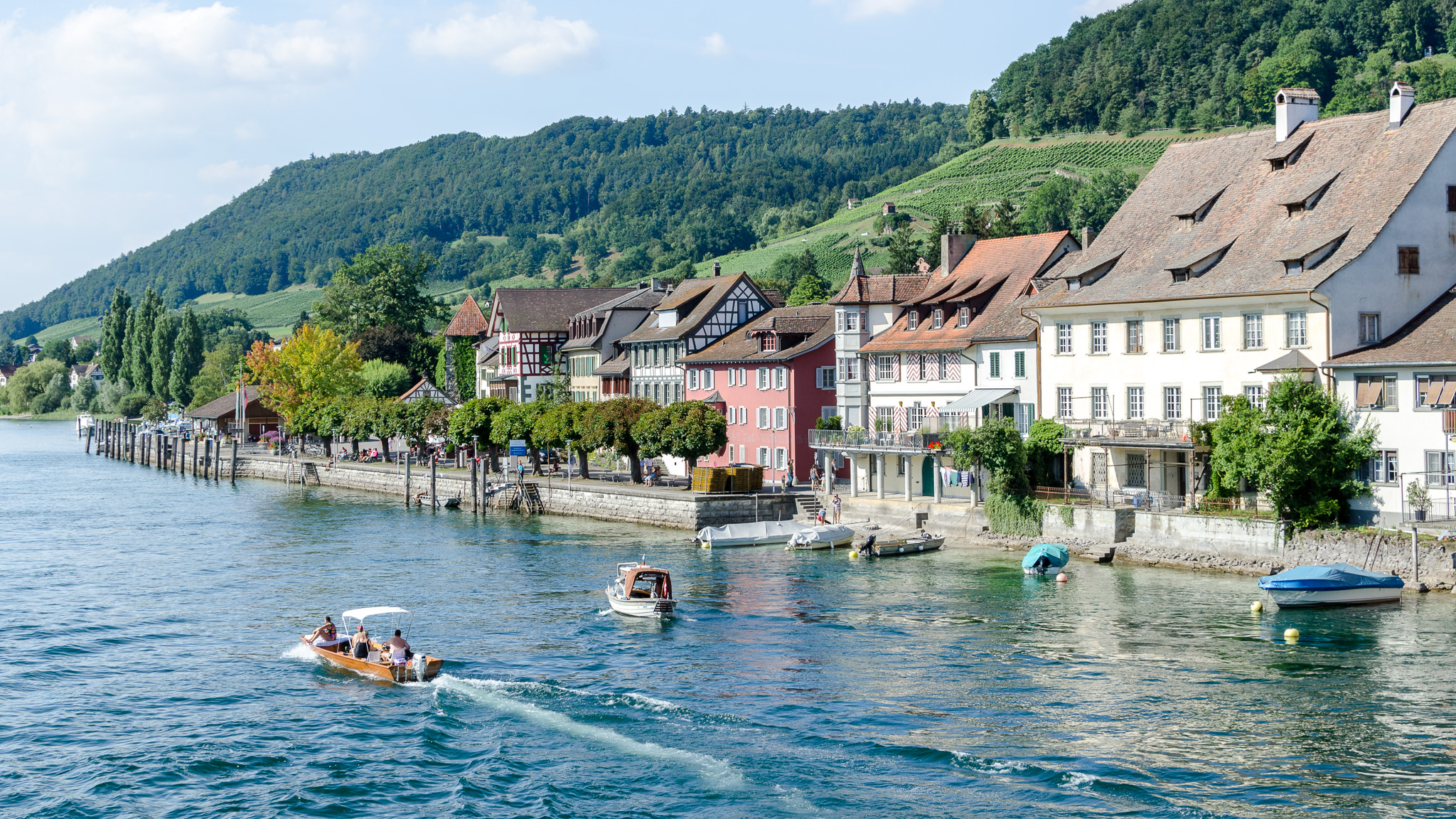 Steinamrhein (9646957090)