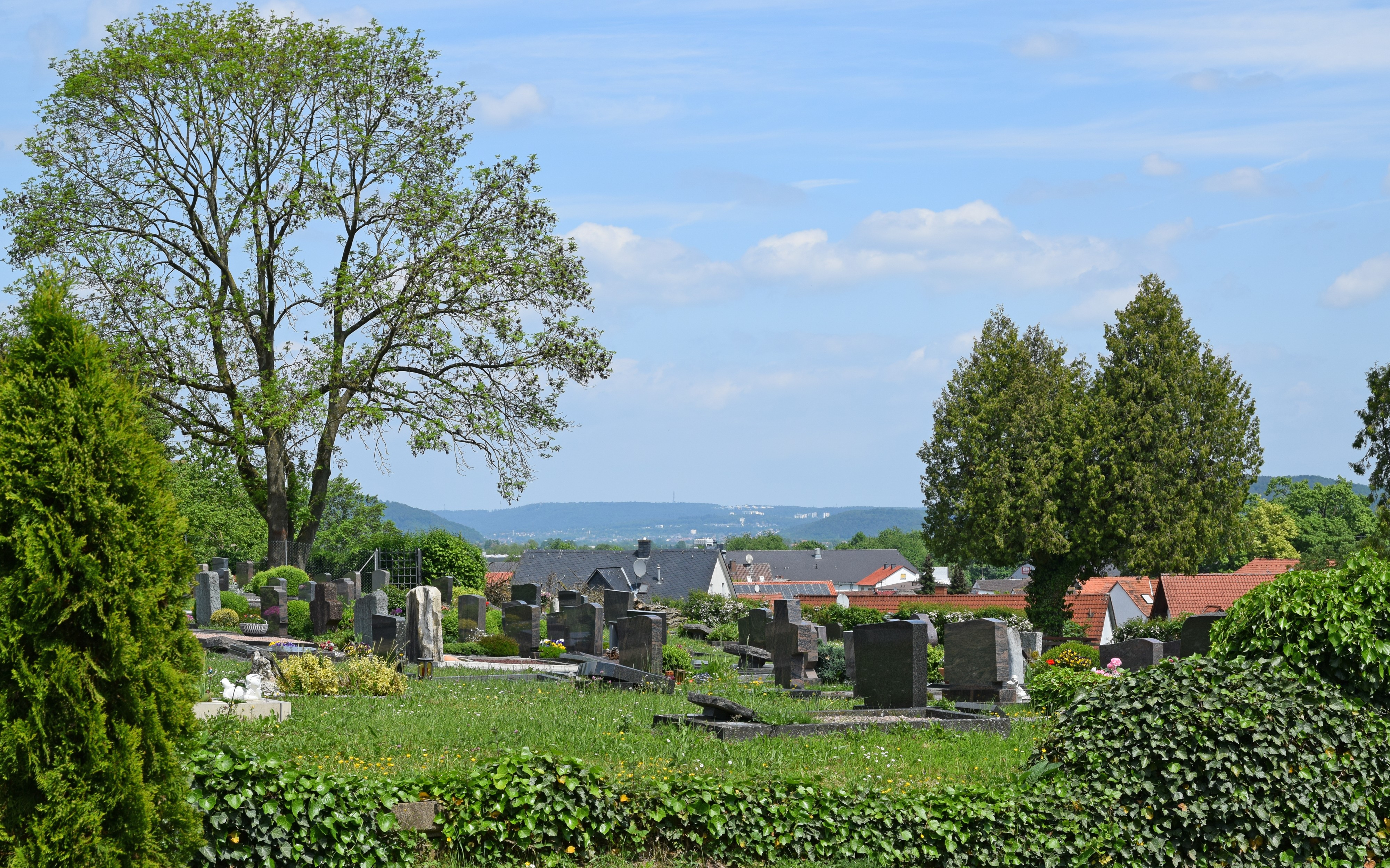 Friedhof Fronhausen (04)