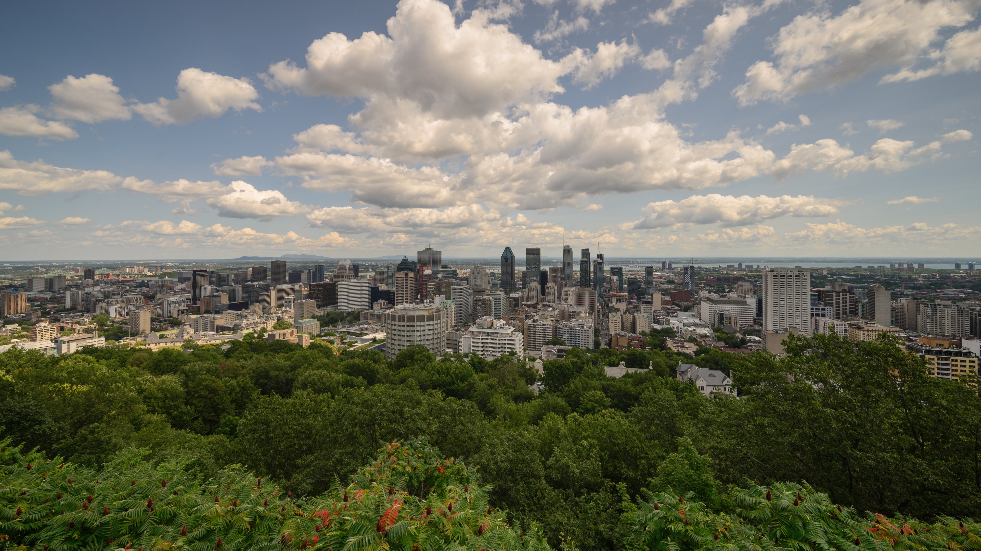 Montreal August 2017 03