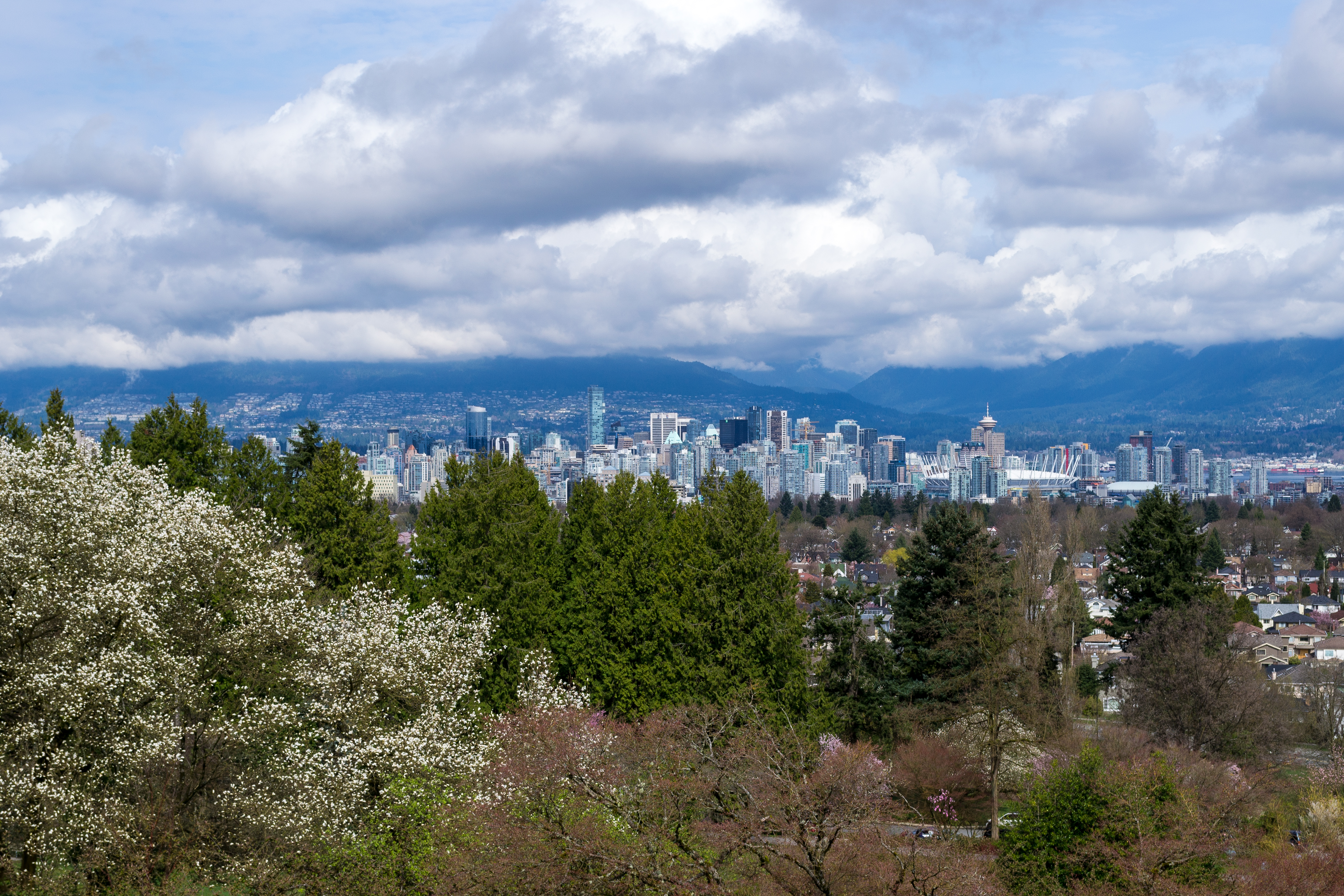Vancouver from Queen Elizabeth Park