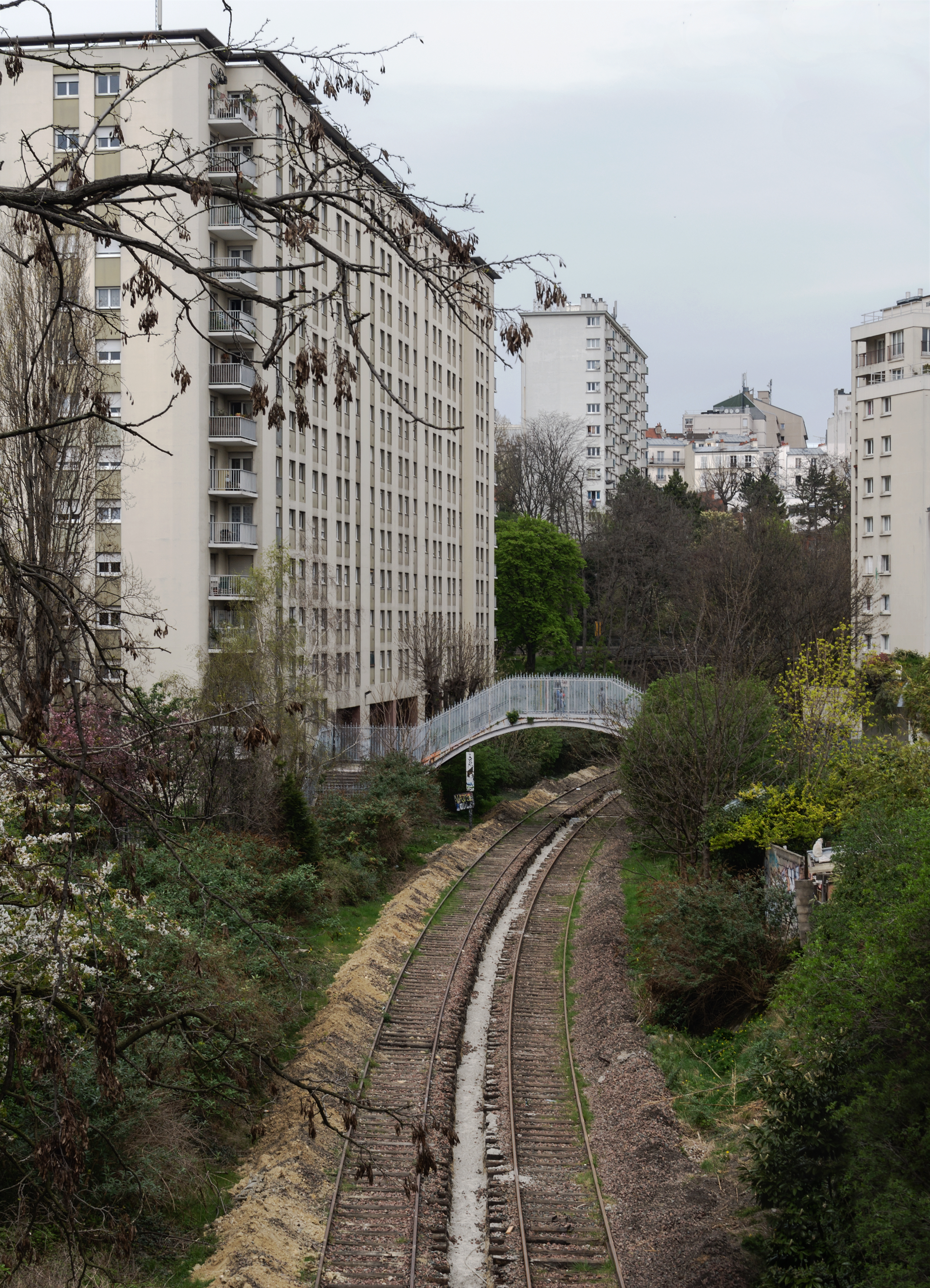 Ligne Petite Ceinture Passerelle de la Mare Paris 20