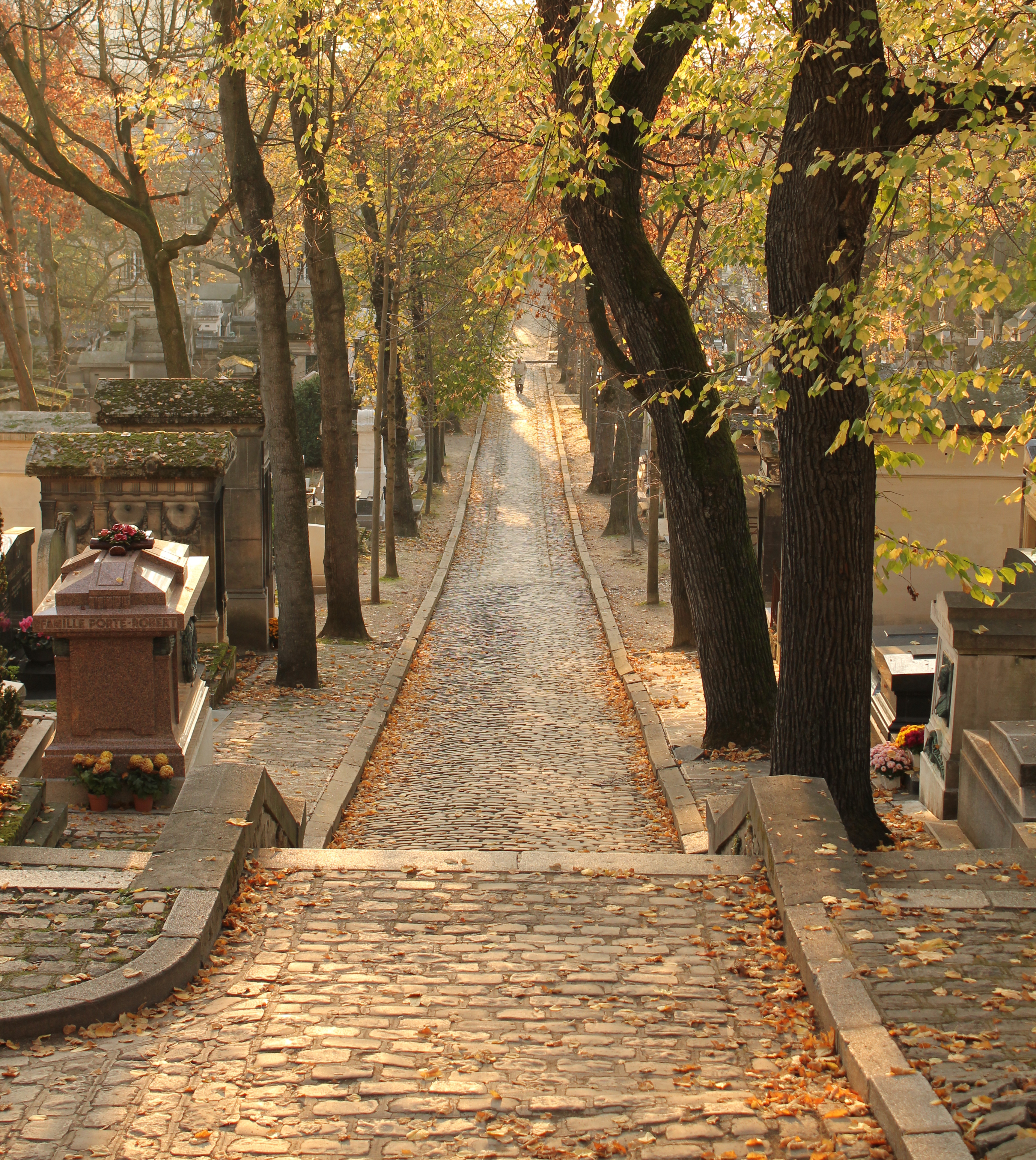 Père-Lachaise - Avenue latérale du Nord 02