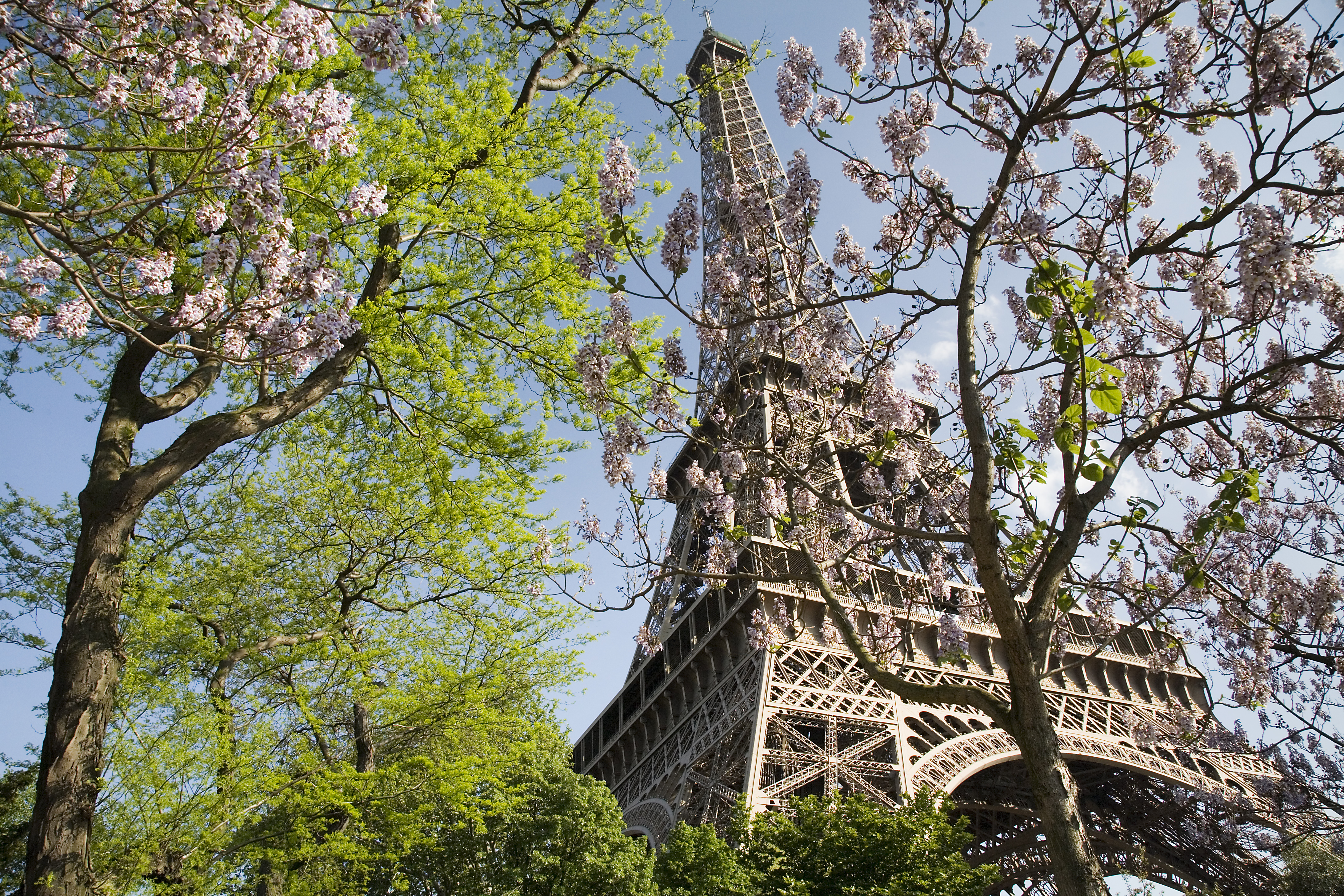 Paris - The Eiffel Tower in spring - 2307