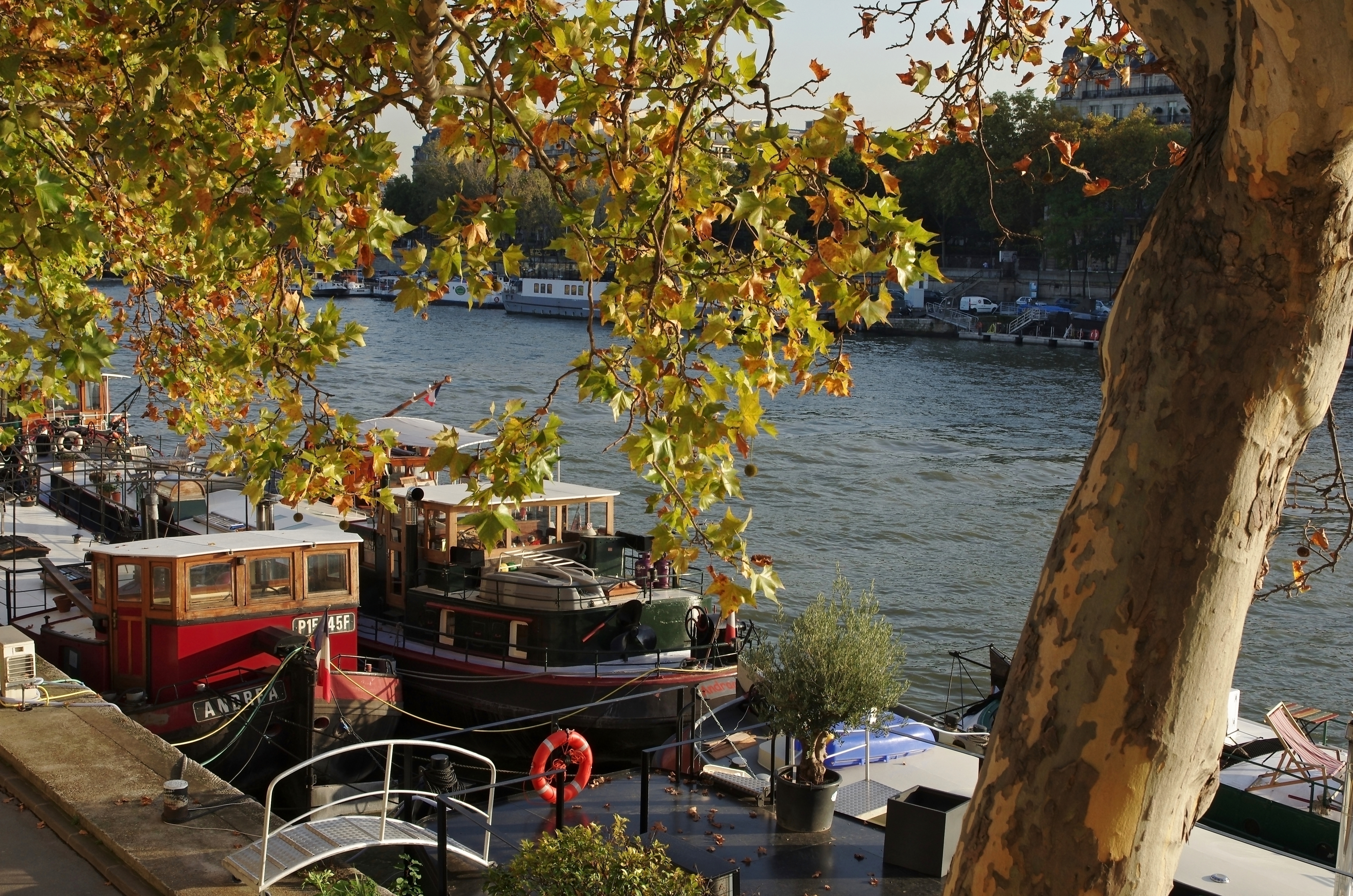 Paris Port Tuileries 2012
