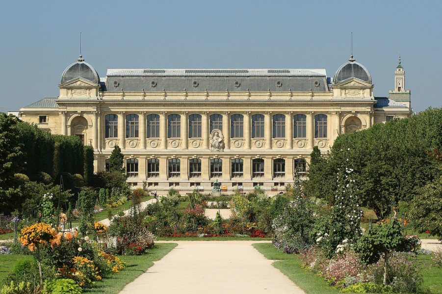 Jardin Plantes