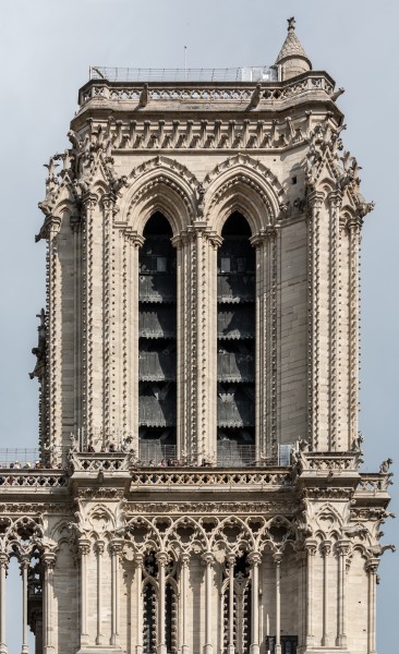 Paris, Notre Dame -- 2014 -- 1467 -- Derivat
