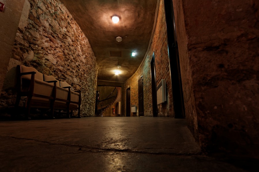 Théâtre des Bouffes du Nord 15