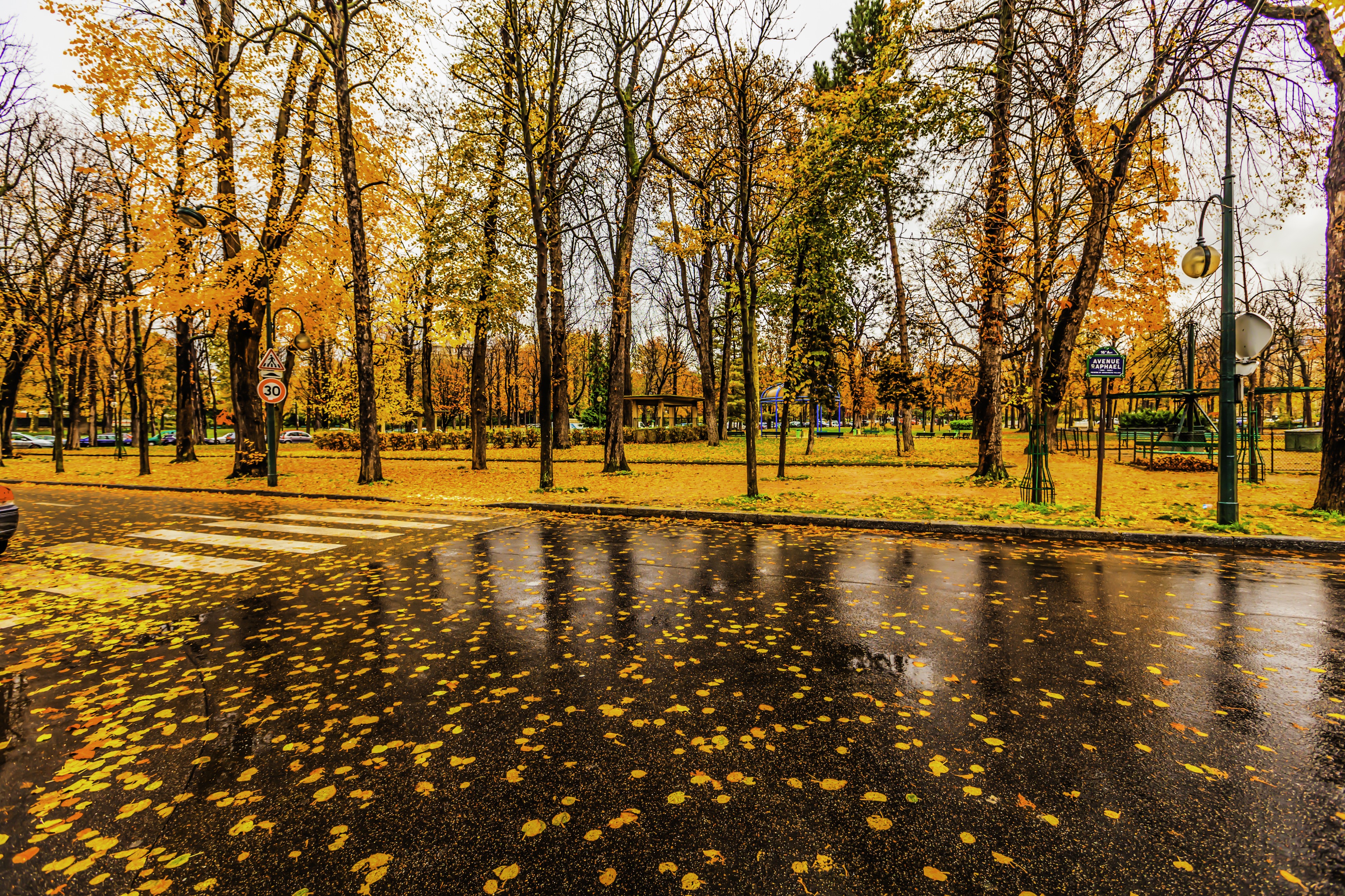 Paris raining autumn cityscape (8252181936)