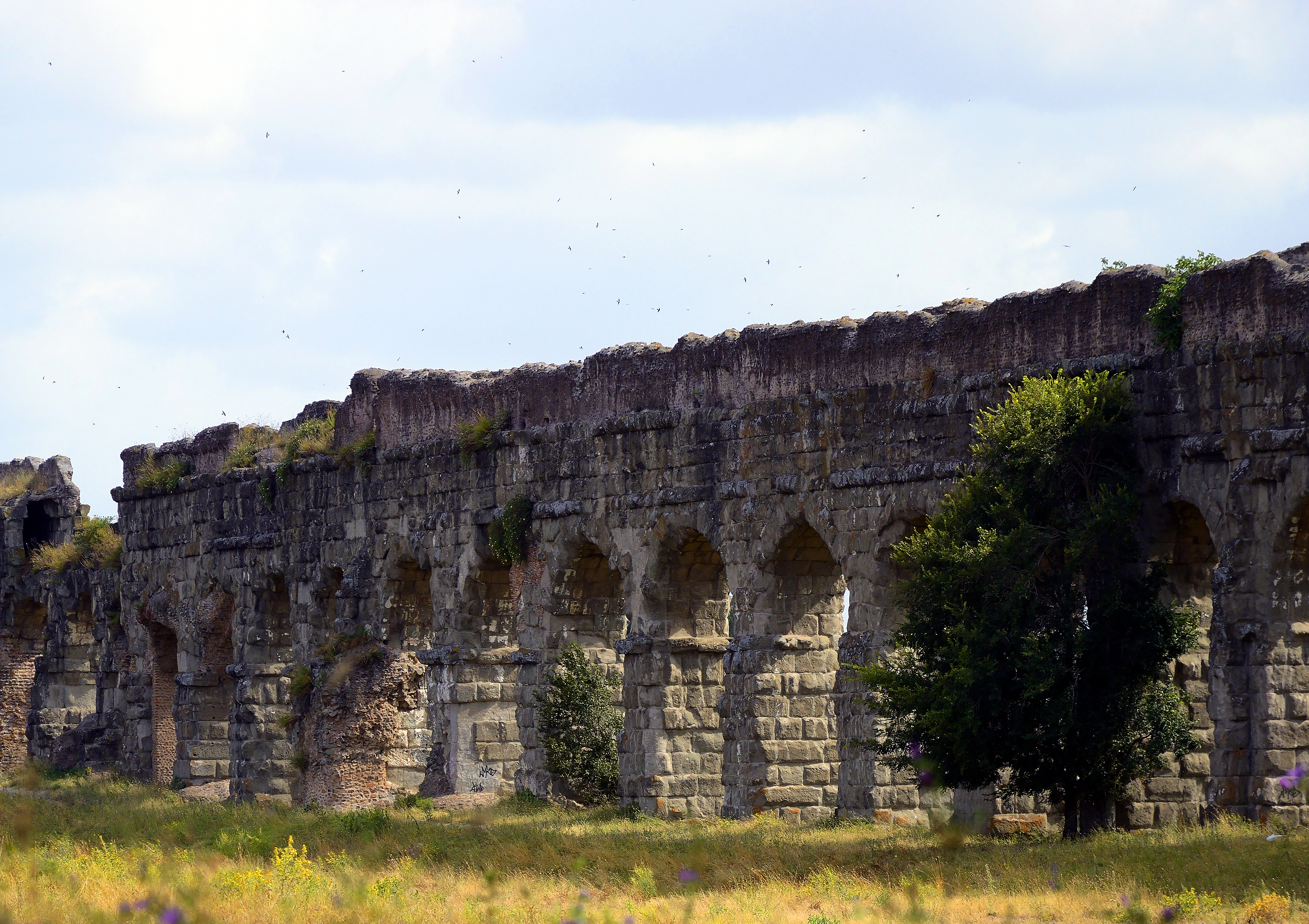 Aqueducts in Rome