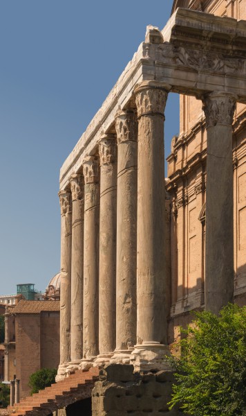 Colonnade temple Antoninus & Faustina Forum Romanum Rome