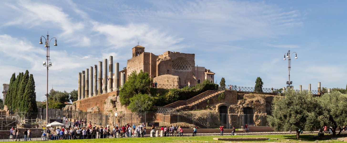 Rome (IT), Forum Romanum -- 2013 -- 3398