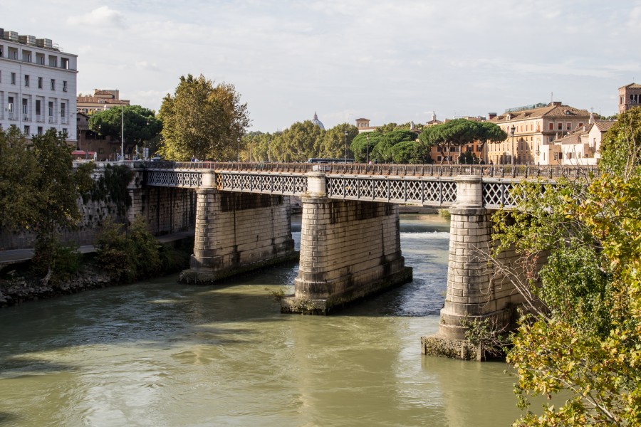 Rome (IT), Ponte Palatino -- 2013 -- 3482