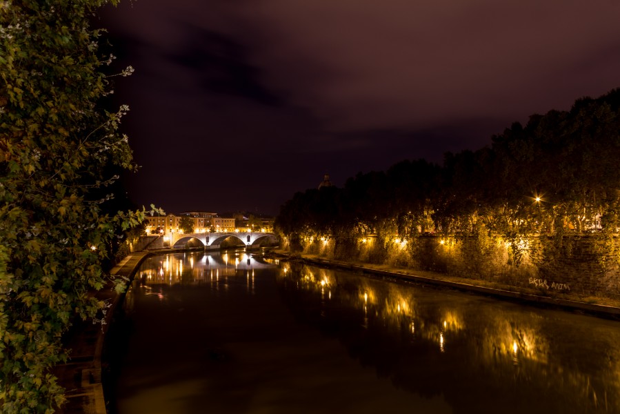 Rome (IT), Ponte Principe Amedeo -- 2013 -- 4089