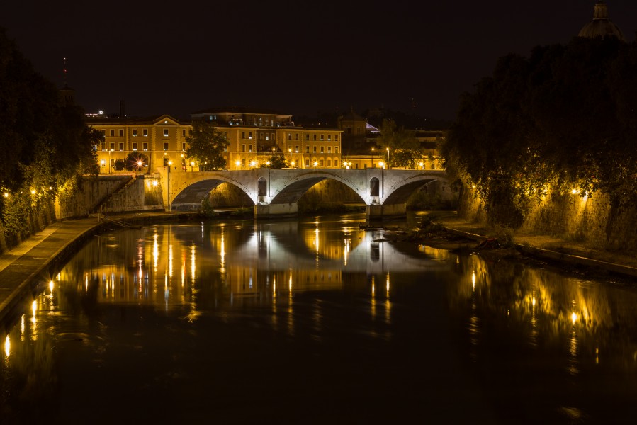 Rome (IT), Ponte Principe Amedeo -- 2013 -- 4092