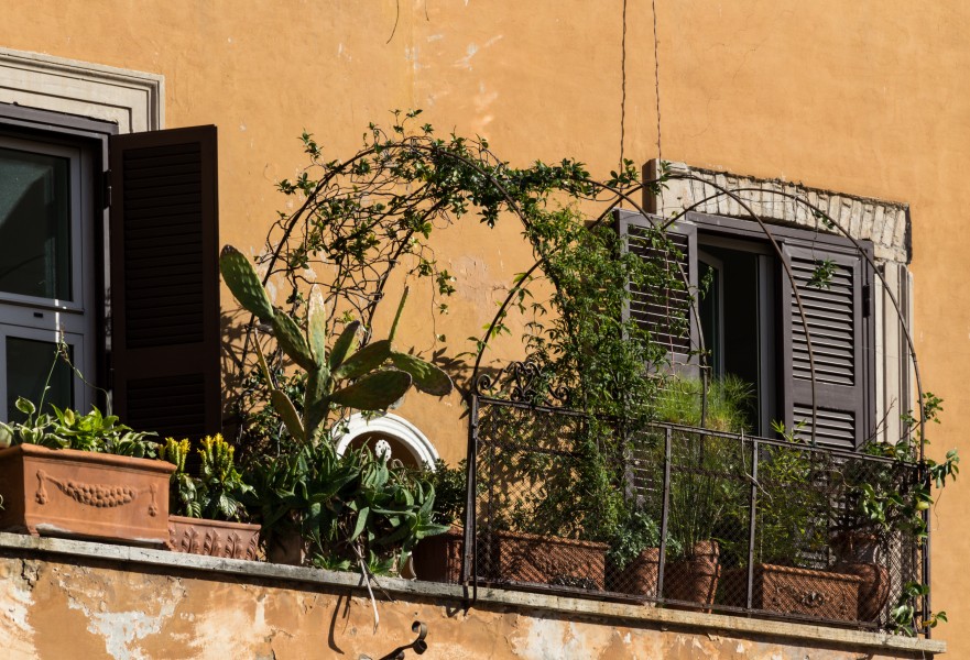 Rome (Italy), Windows -- 2013 -- 1