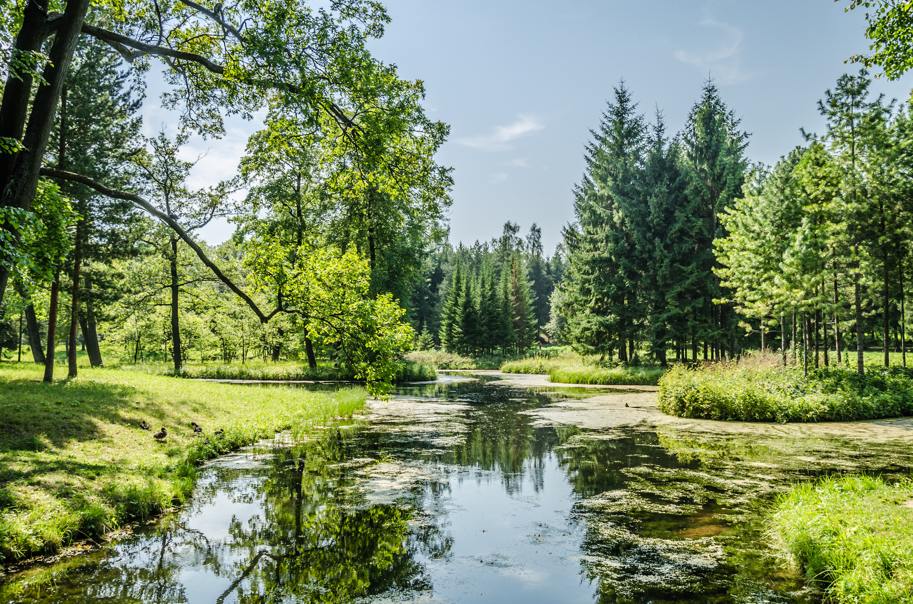 Canal in Tsarskoe Selo 01