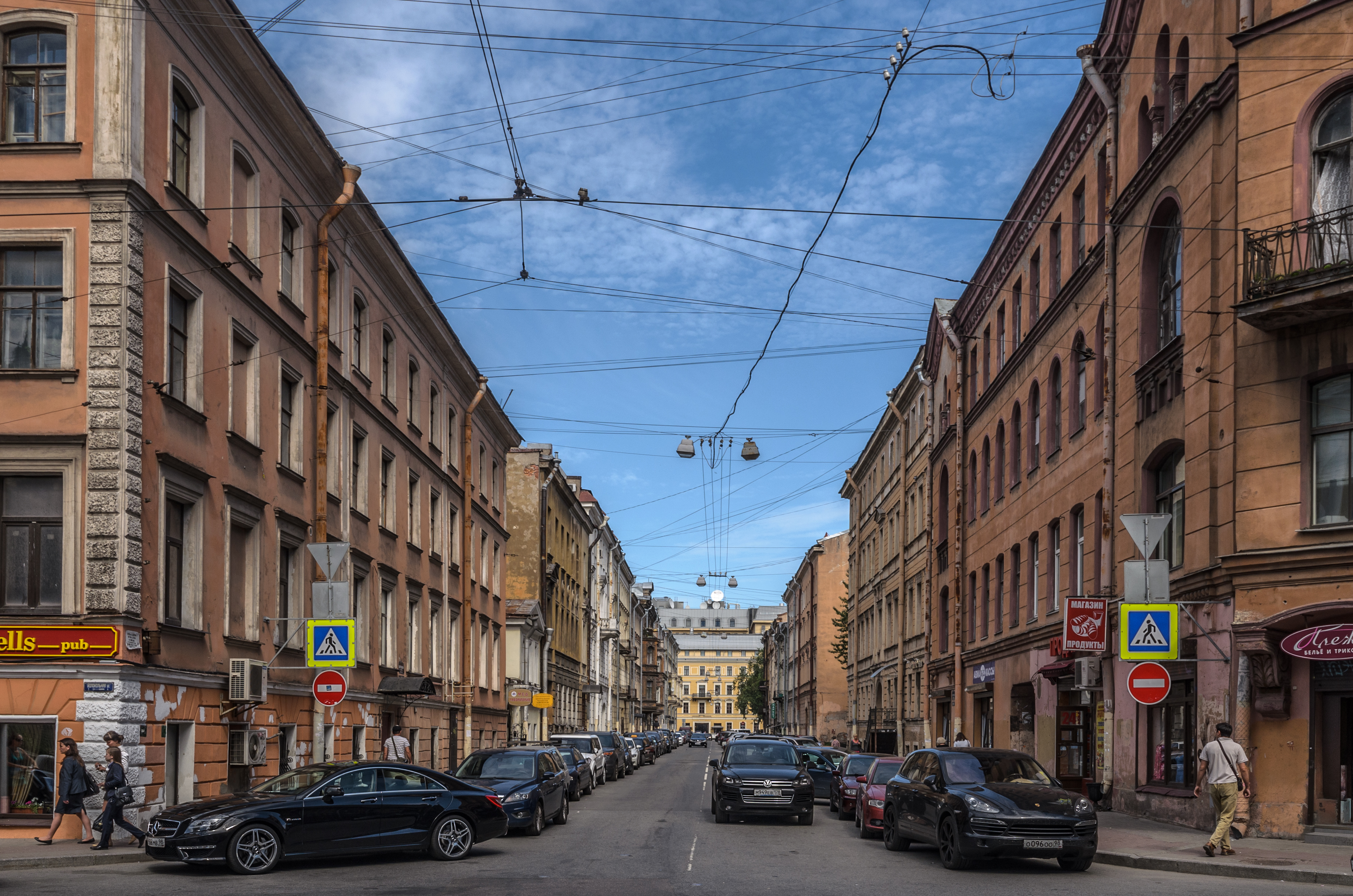 Dmitrovsky Lane SPB