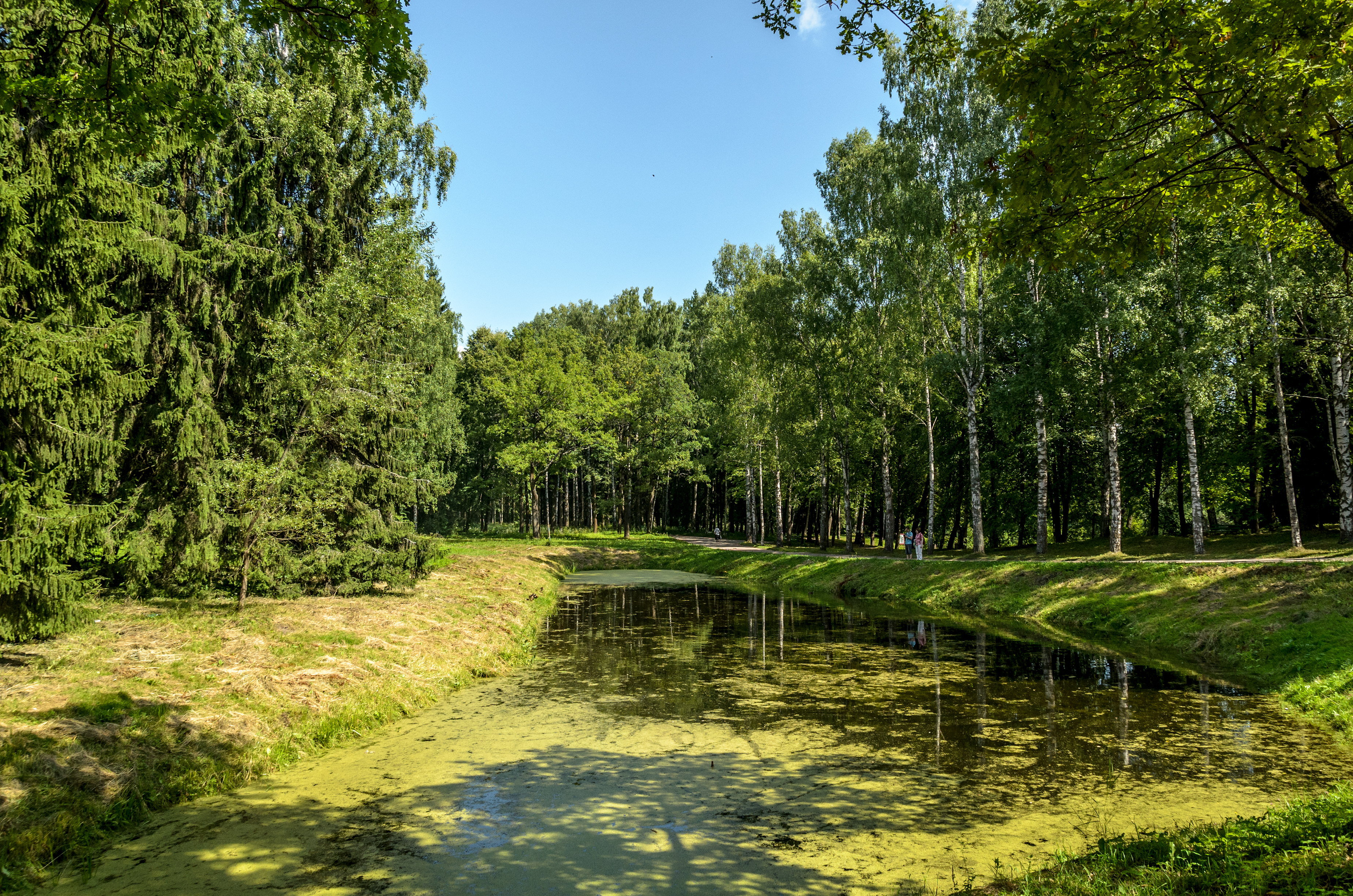 Pavlovsk Park 2013-01