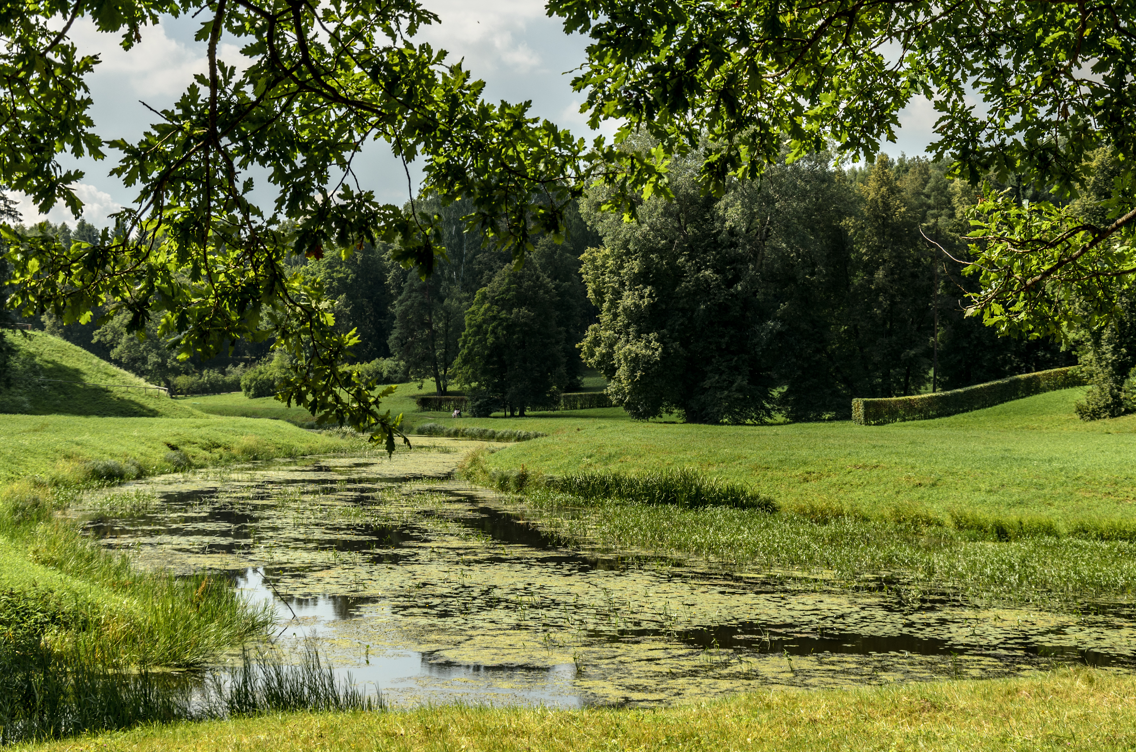 Pavlovsk Park 2013-06