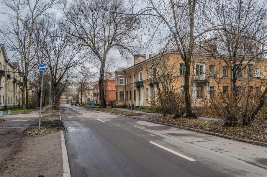 Barrikadnaya Street SPB 1
