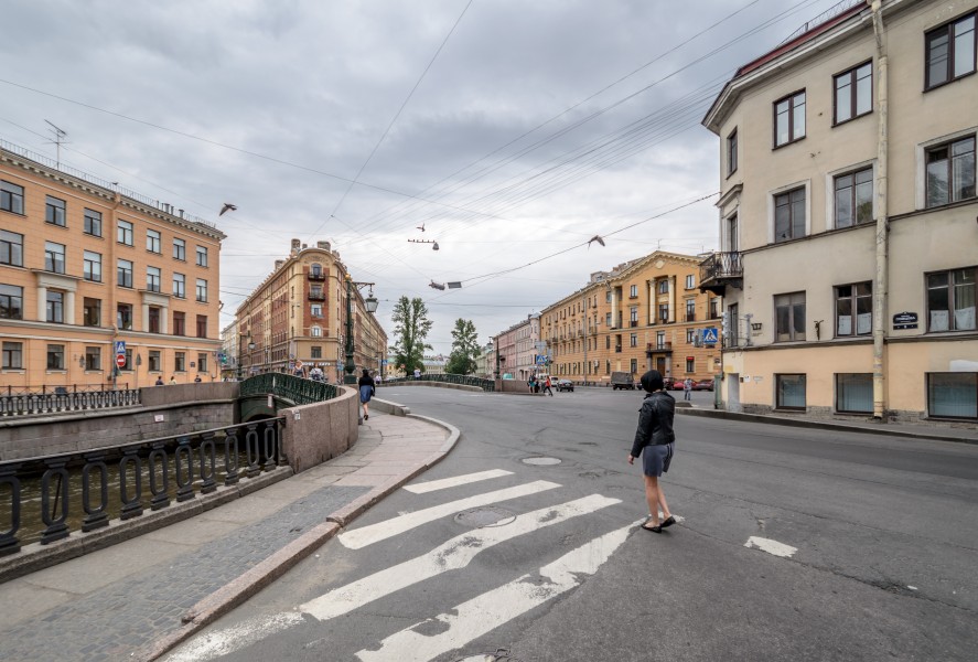 Demidov Bridge SPB 01